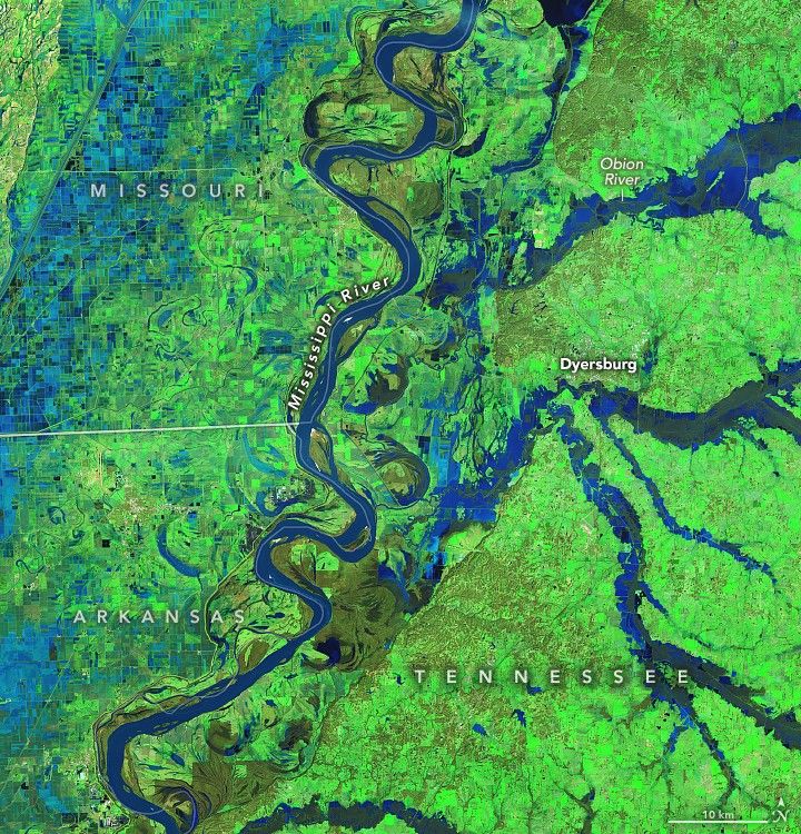 Image shows land in a vibrant green, surface water in blue. The Mississippi RIver meanders across the image vertically with various rivers feeding it from the right, such as the Obion River entering the image from the top right. The other major river entering the image is adjacent to Dyersburg and unlabeled. These rivers appear vibrant blue due to the volume of suspended sediment and are exceptionally wide. A large swath of land parallel to the Mississippi River on the left is primarily light blue in color.